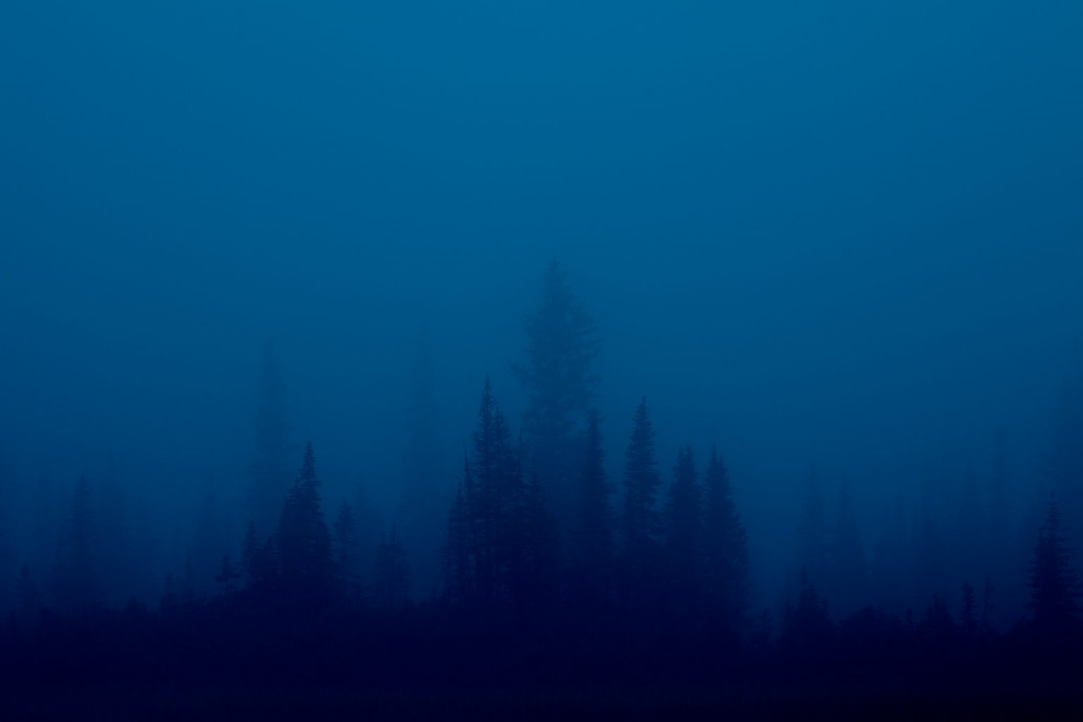 Abstract Nature Photography Creative Processes Redefined