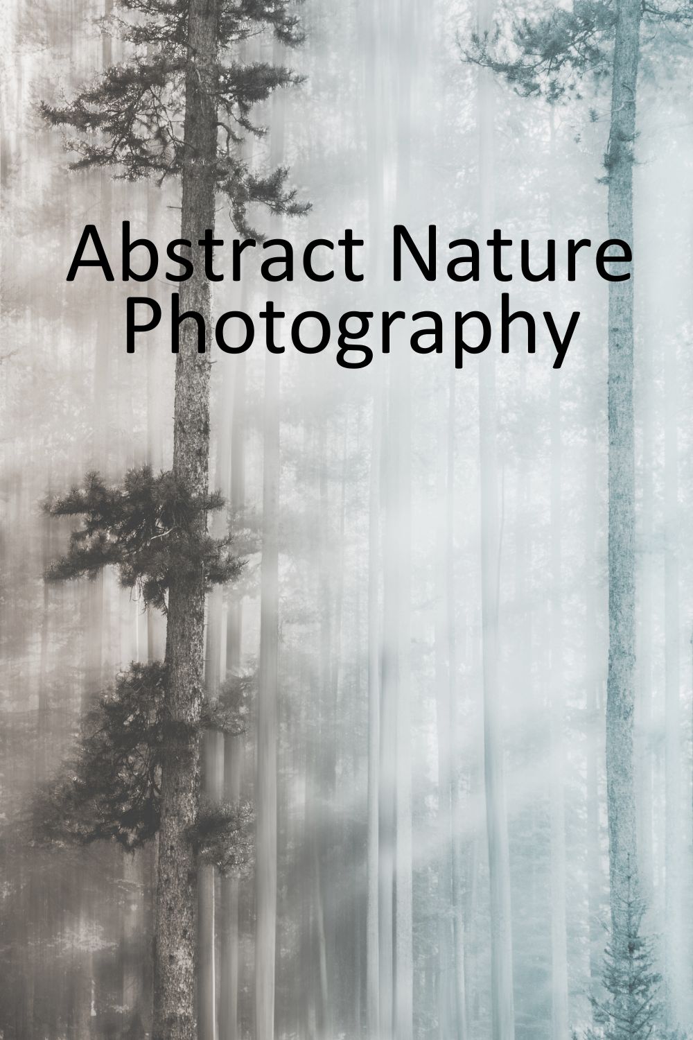 Abstract Nature Photography Creative Processes Redefined