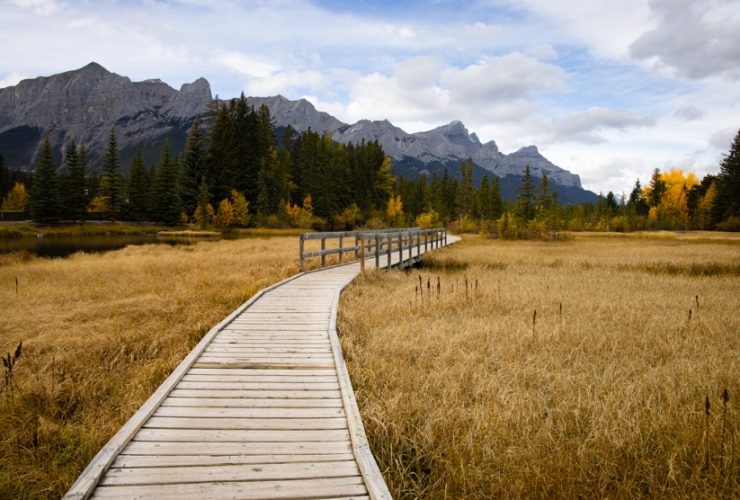 larch hikes kananaskis, landscape photography Kananaskis kananaskis larch hikes