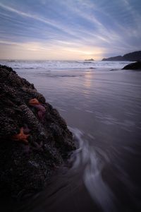 Port Orford, Oregon, sea stacks and waves flowing across the beach, oregon coast photography, oregon landscape photography, photography of oregon