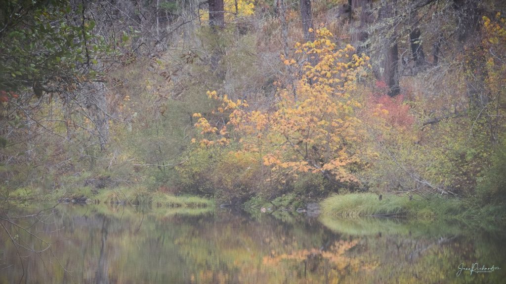 oregon fall photography