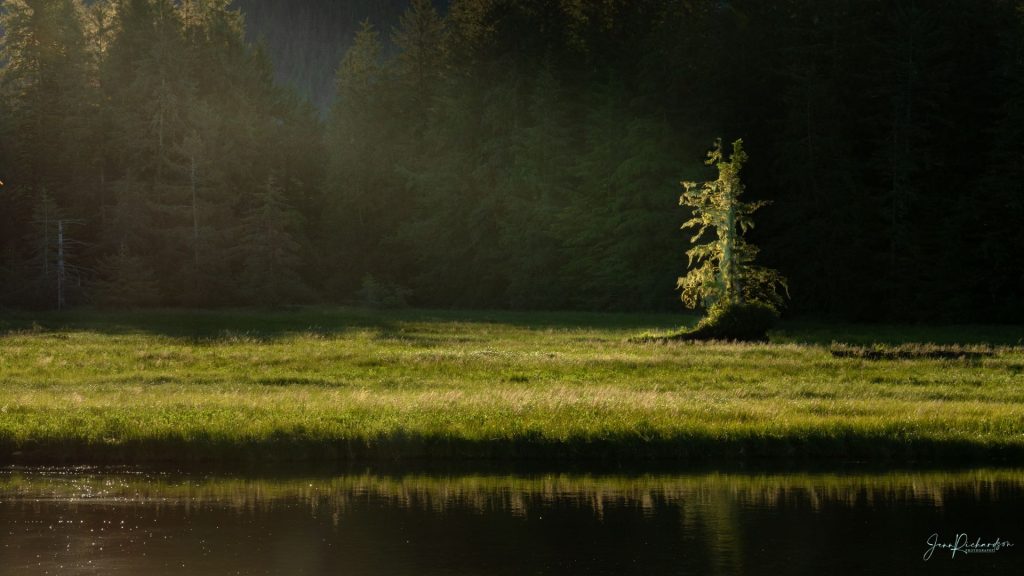 vancouver island photography