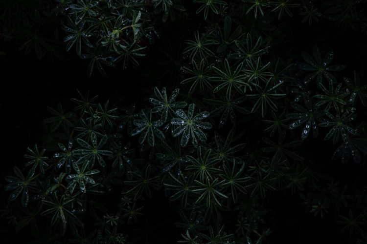 Oregon Fall Cape Blanco Photography, oregon coast photography, oregon landscape photography, photography of oregon