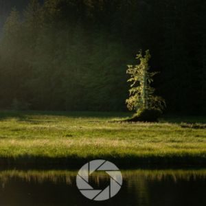 composition in photography, photo compositing, photo perspective, photo composition examples