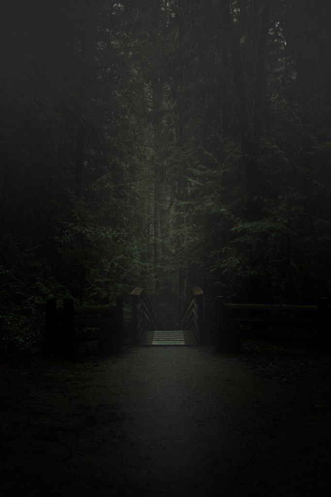 vancouver island photography