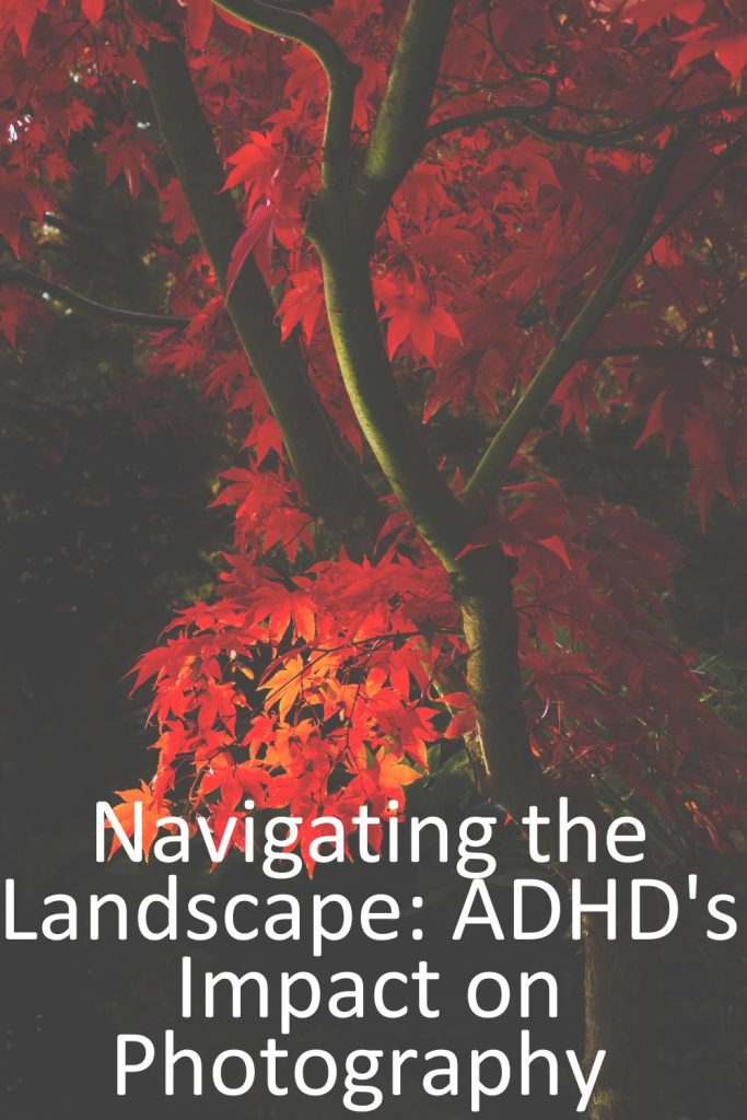 ADHD and photography, landscape photography and adhd