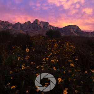 all landscape photographers are pagan