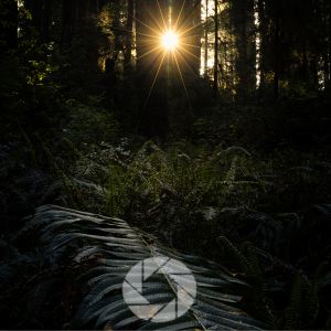 Mastering low light photography, landscape photography