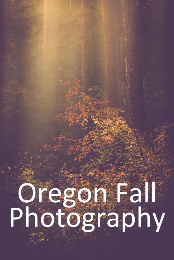 fall photography in oregon
oregon
fall colors
