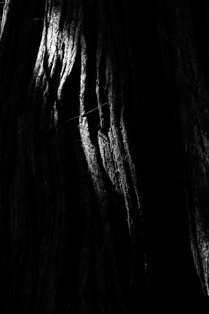 Minimalist Photography