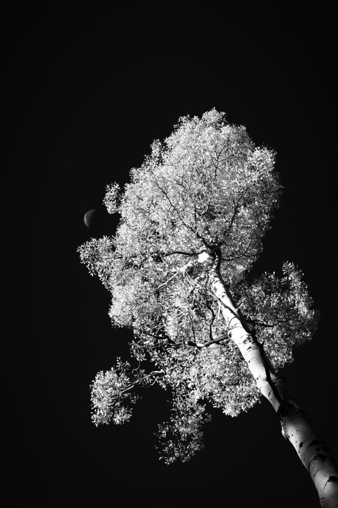 Minimalist Photography