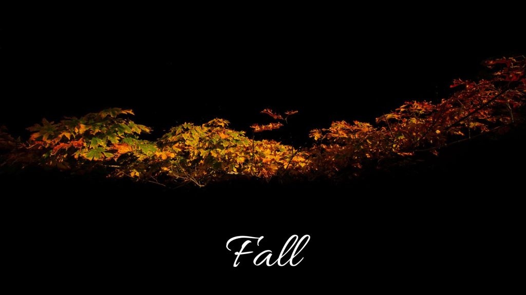 image galleries fall landscape photography