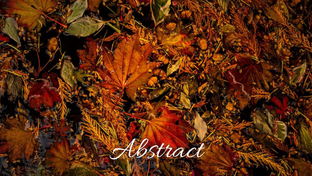 image galleries landscape photography abstracts