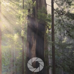 best aperture for landscape photography