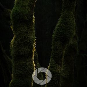 what is exposing to the right ETTR