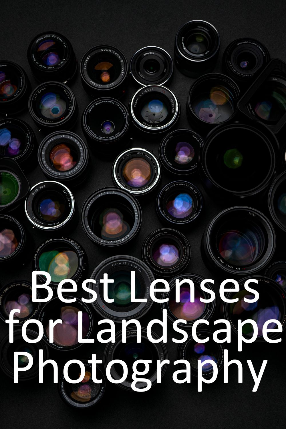 Best Lenses for Landscape Photography When to Use Each Lens