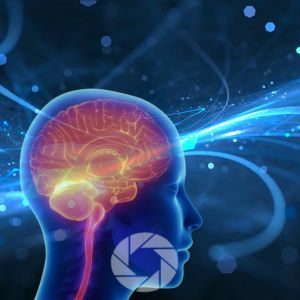 AI and Landscape Photography Trip Planning