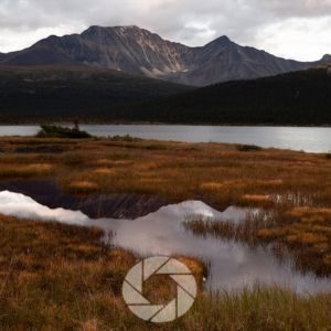 How to Stand Out as a Photographer