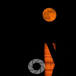 Photography Vision for Beginners