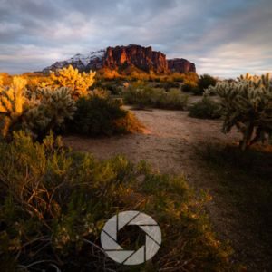 Practical Shooting Tips for Wide Angle Vs Telephoto