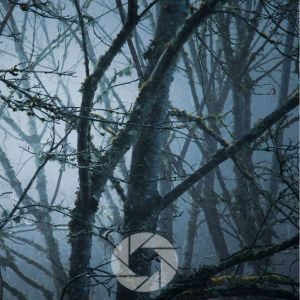 Landscape Photography Ideas When You’re Feeling Stuck