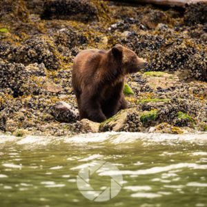 Prepare for a Once-in-a-Lifetime Photo: When Preparation Meets Opportunity