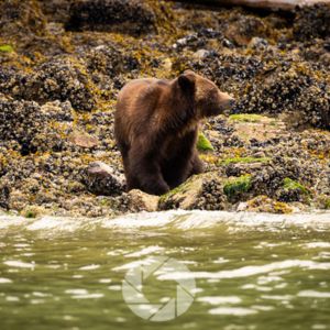Prepare for a Once-in-a-Lifetime Photo: When Preparation Meets Opportunity