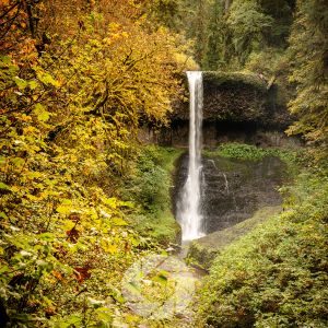 ChatGPT said: Editing Photos with Emotion: Turning Technique into Connection