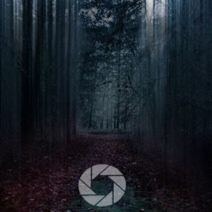 Mastering Intentional Camera Movement