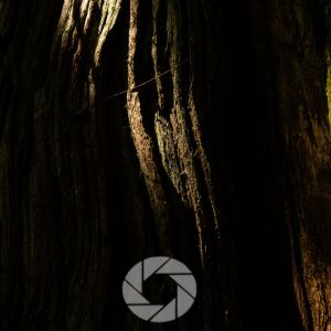 Elemental Forms: Earth Textures as Abstract Landscapes