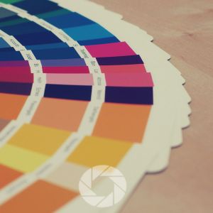 Seasonal Color Palettes In Landscape Photography