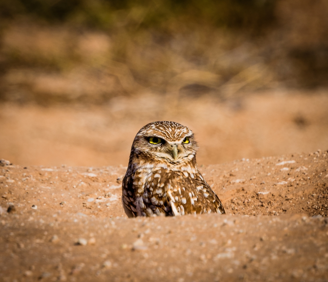 LANDSCAPE PHOTOGRAPHY BLOG