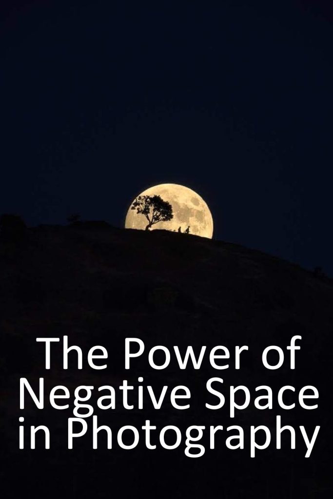 The Power of Negative Space in Composition