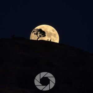 The Power of Negative Space in Composition