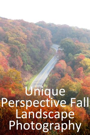 Unique Angles For Fall Photos: Fresh Perspectives For More Creative Autumn Photography