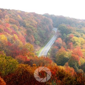 Unique Angles For Fall Photos: Fresh Perspectives For More Creative Autumn Photography
