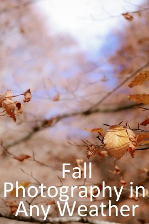 Fall Photography in Any Weather: Fog, Overcast, Wind