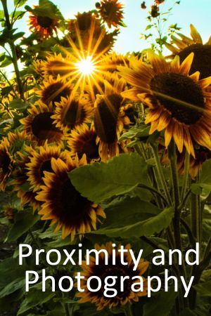 gestalt theory proximity and photography