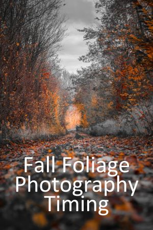 Fall Foliage Photography Timing