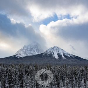 winter landscape photography and white balance gray snow