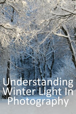 Understanding Winter Light: How to Create More Beautiful Winter Landscape Photographs