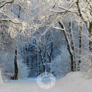 Understanding Winter Light: How to Create More Beautiful Winter Landscape Photographs